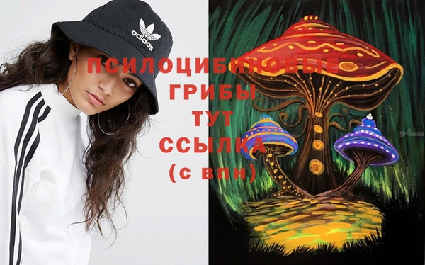 ГАЛЛЮЦИНОГЕННЫЕ ГРИБЫ Лагань