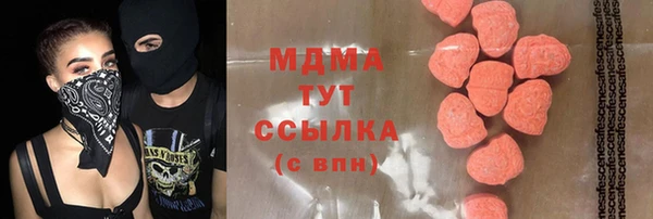 ГАЛЛЮЦИНОГЕННЫЕ ГРИБЫ Лагань