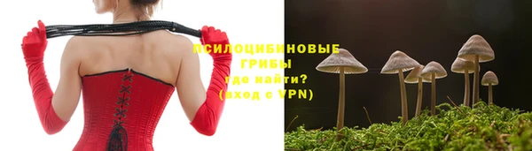 стаф Ладушкин
