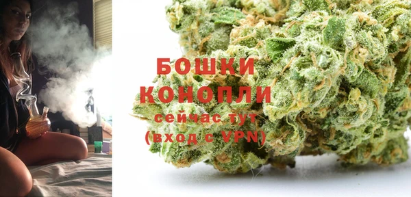 ГАЛЛЮЦИНОГЕННЫЕ ГРИБЫ Лагань