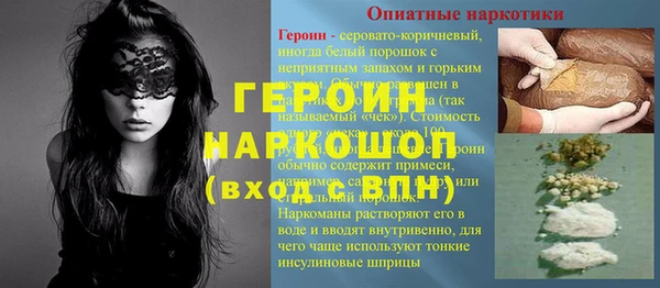 ГАЛЛЮЦИНОГЕННЫЕ ГРИБЫ Лагань
