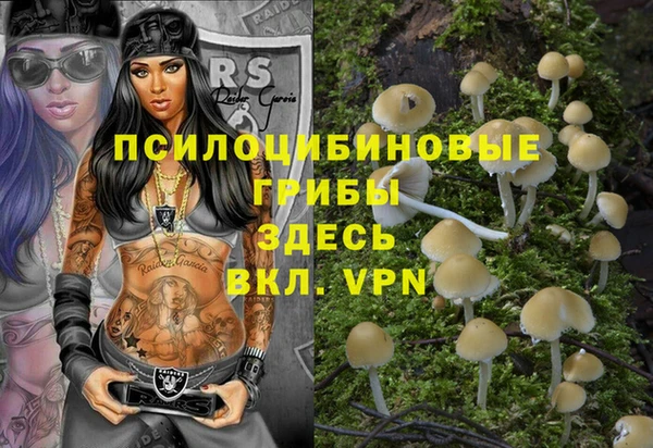 стаф Ладушкин