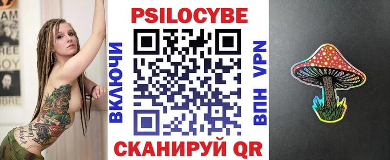 Псилоцибиновые грибы мицелий  Купить  Кирсанов 