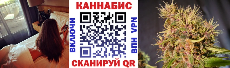 Канабис сатива Кирсанов